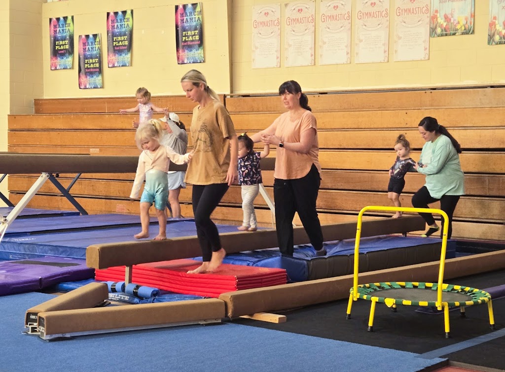  Signal School of Physical Education