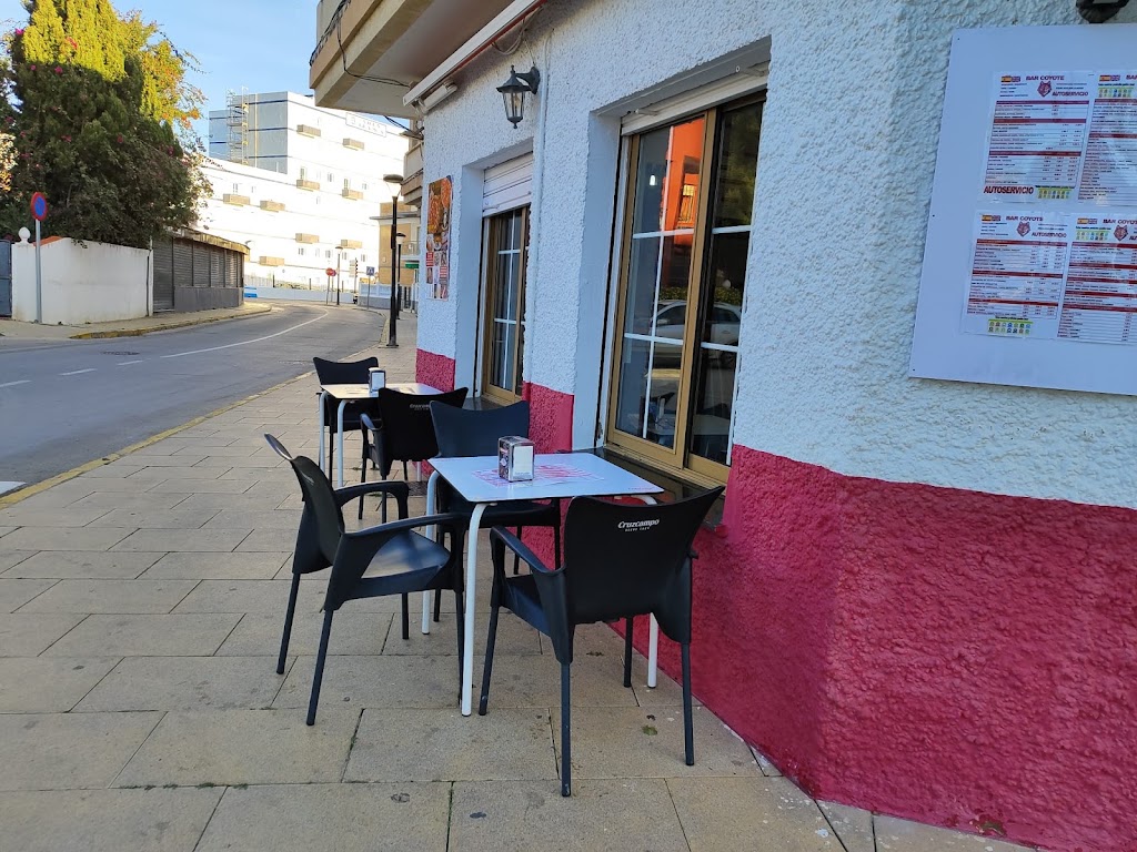 Bar Pizzeria el Coyote — Ambiente