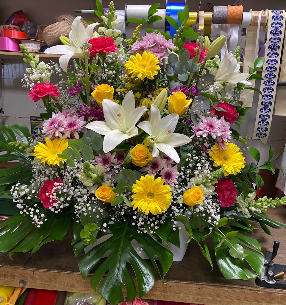 Floristeria Garden Center La Noria S.L. — Todas