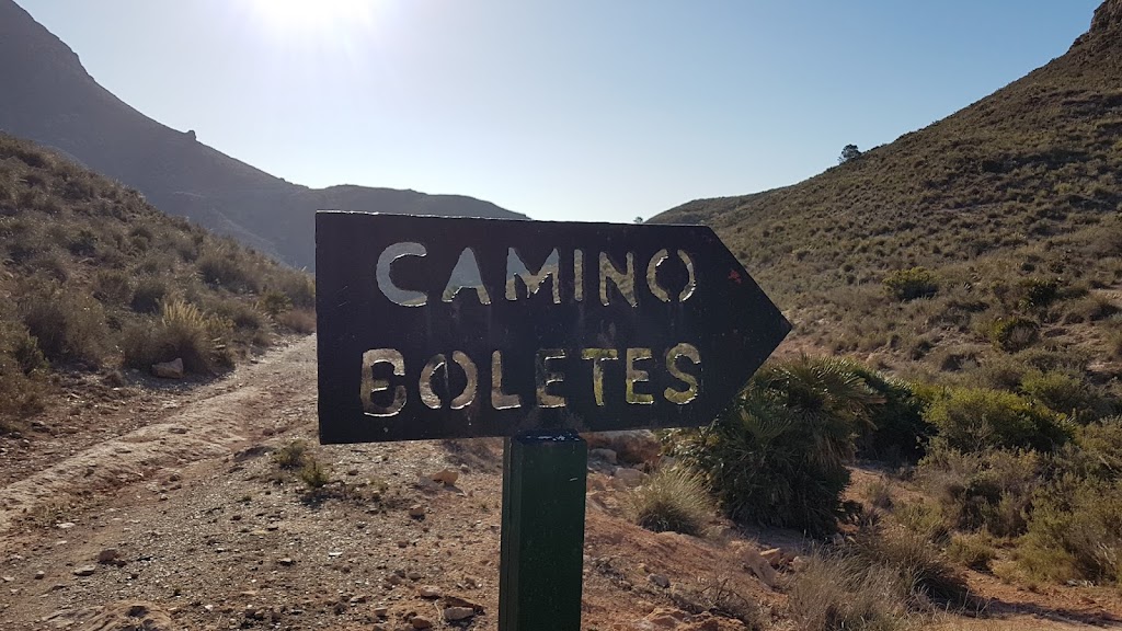 Camino Boletes