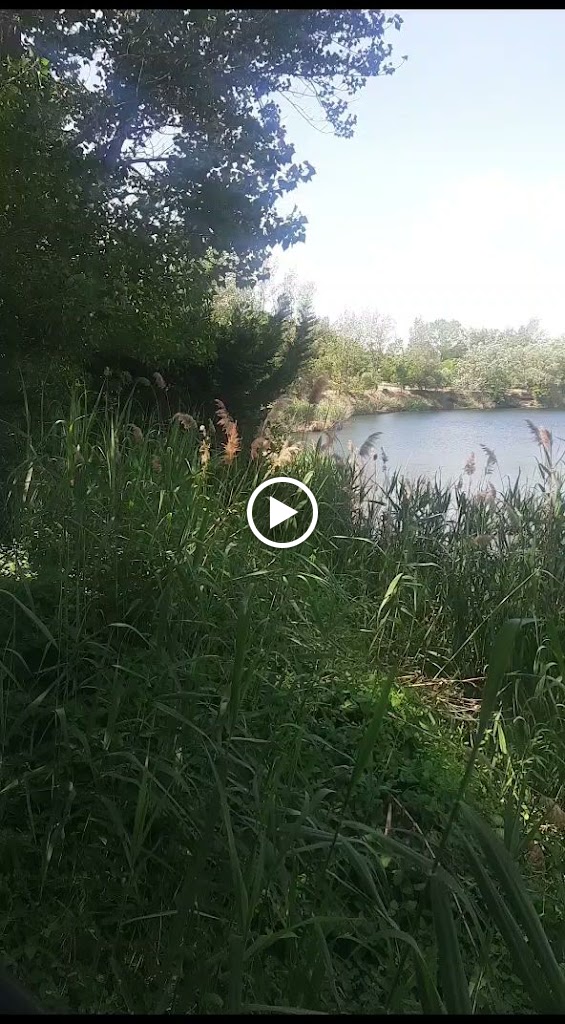 Restaurante Las Lagunas — Videos