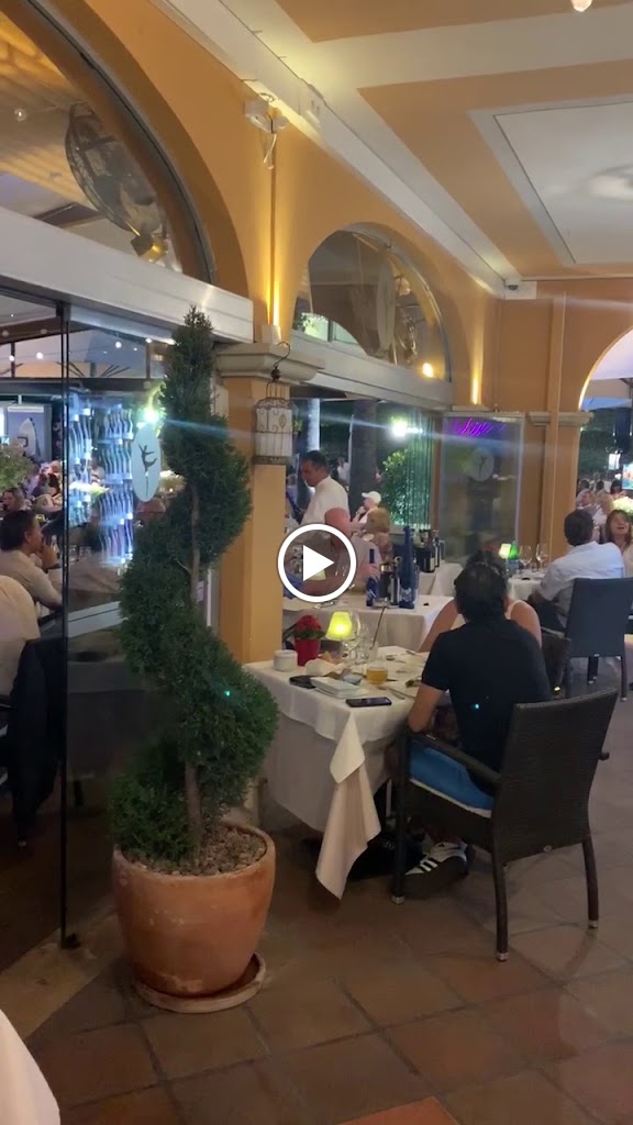 Ritzi Restaurant Puerto Portals — Videos