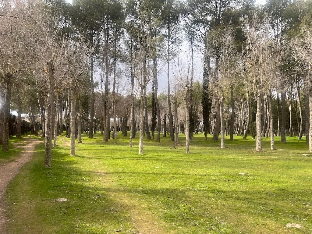 Parque del General Gutierrez