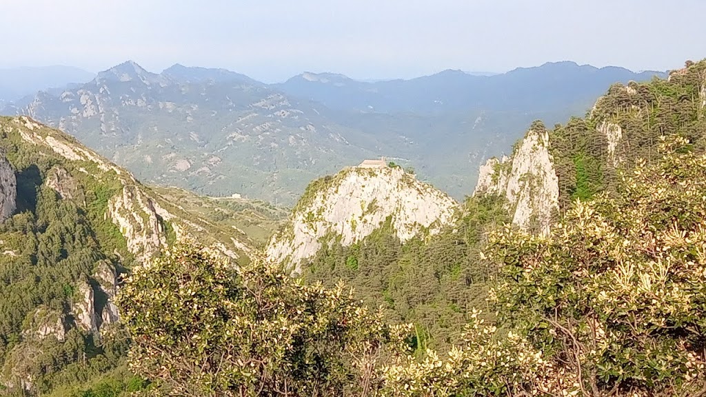 Homenaje a los Ingenieros Forestales