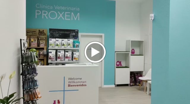 Clinica Veterinaria Proxem — Videos