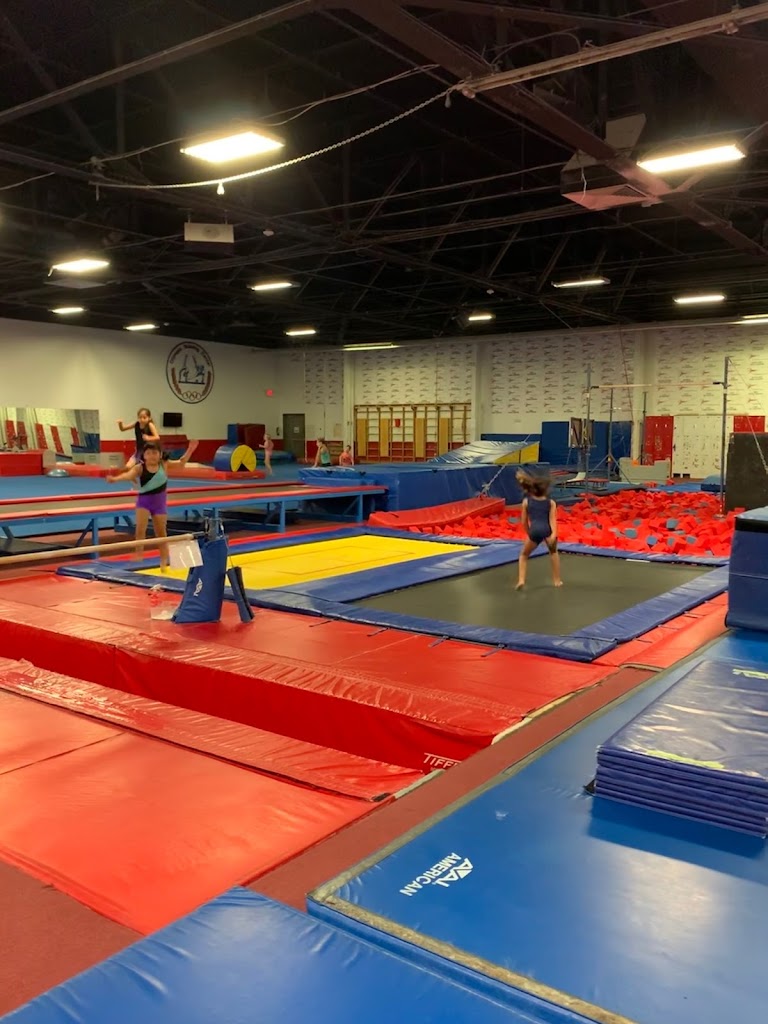  Stars Gymnastics Training Center