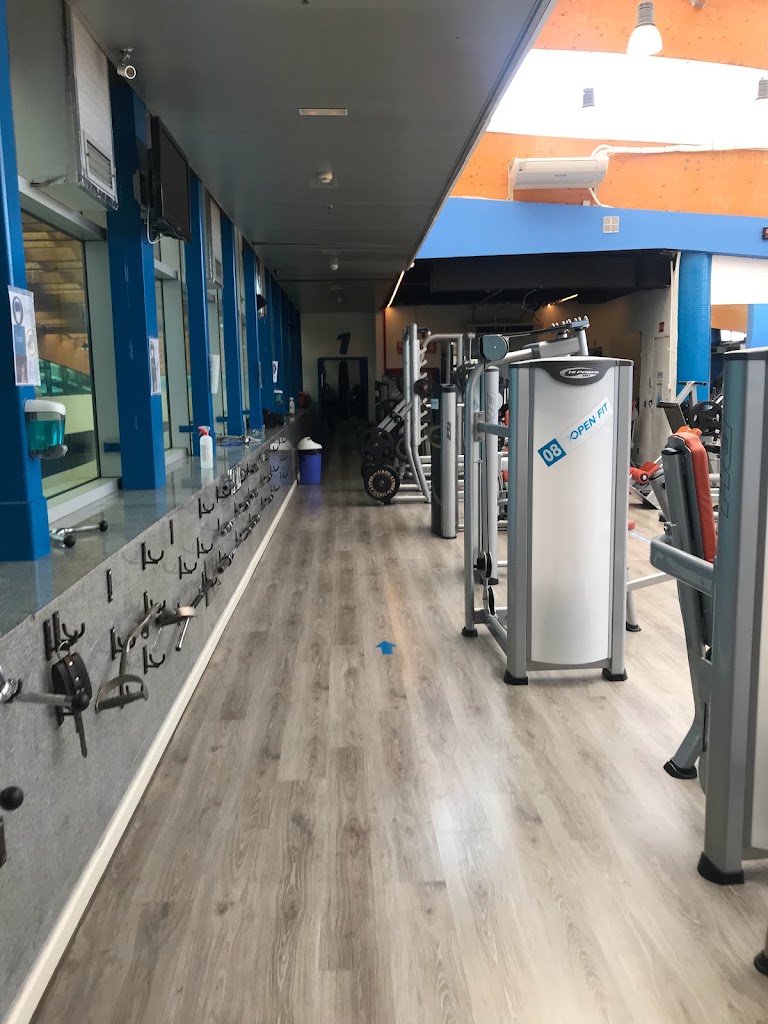 Open Fit — Gimnasio