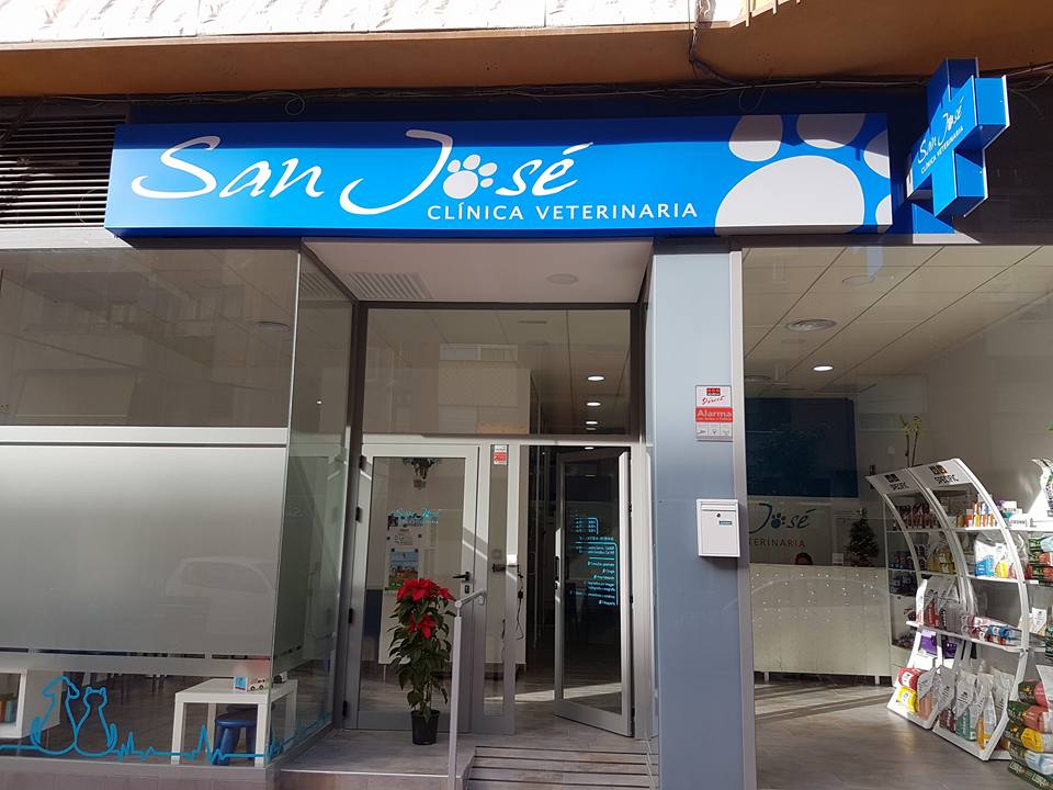 San Jose Clinica Veterinaria — Del propietario