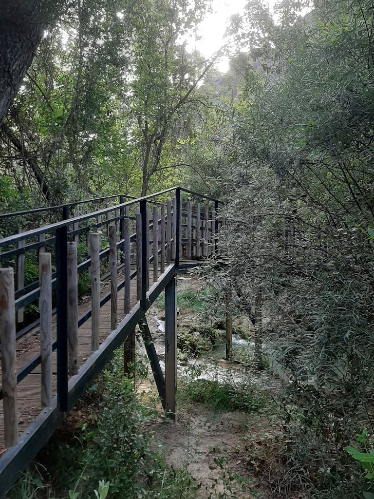 Sendero Rio Canamares
