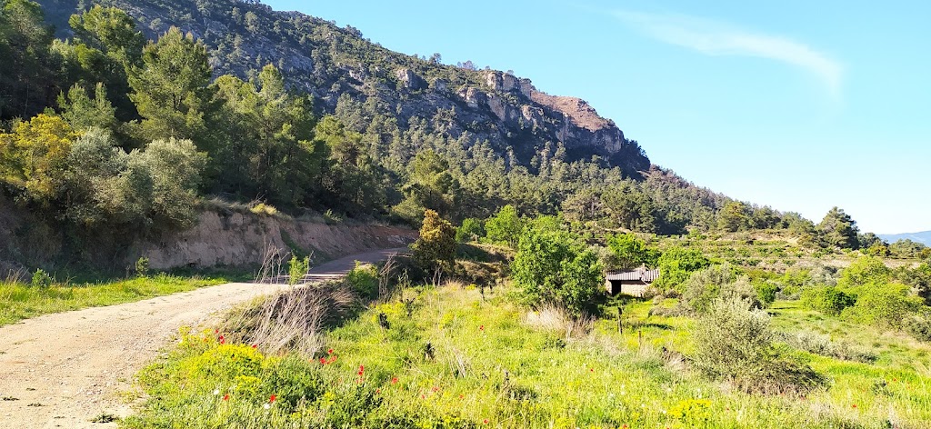 Itinerari de Sant Antoni
