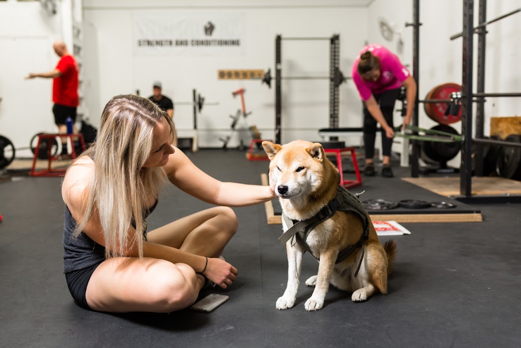  Silverback Strength and Conditioning