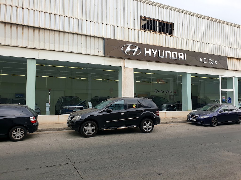 Hyundai Aubensa