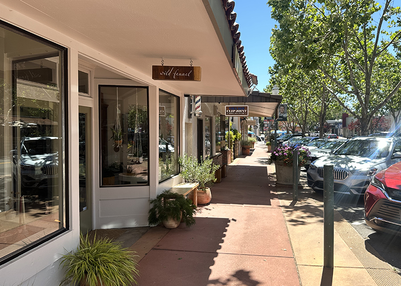 Solution Suite Affordable Digital Marketing Novato Ca