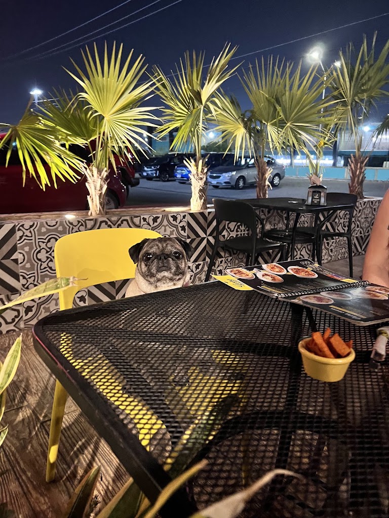 Swing Pasta La Florida