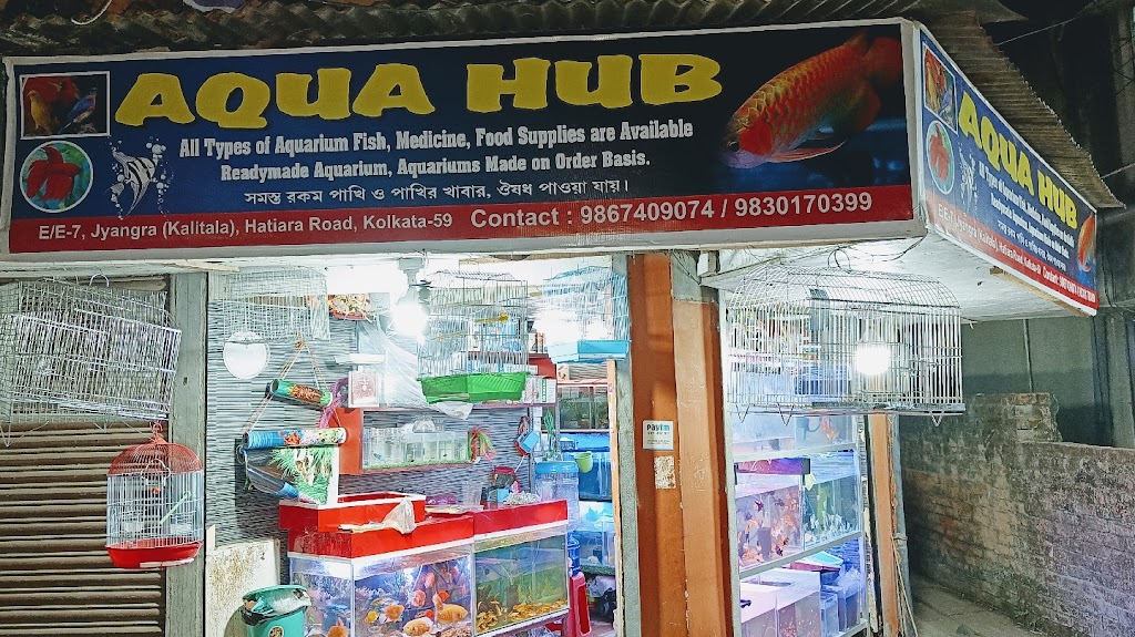 Aqua Hub