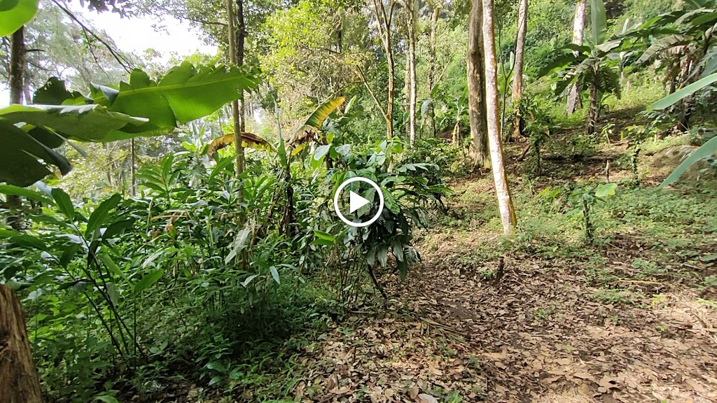 Camping Ground Fresh Area Sawit