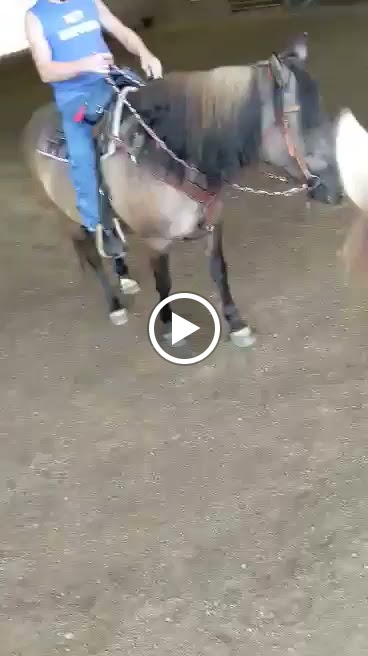  Healthitude Fitness & Nutritional Coaching