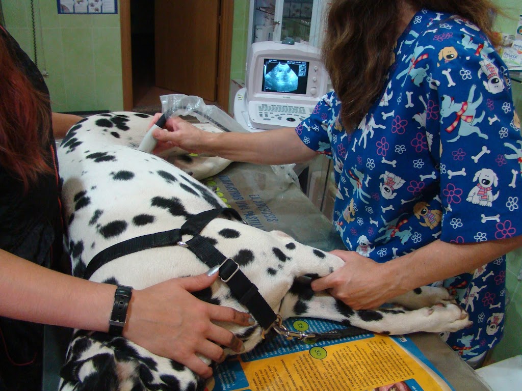 Clinica Veterinaria Cliveal