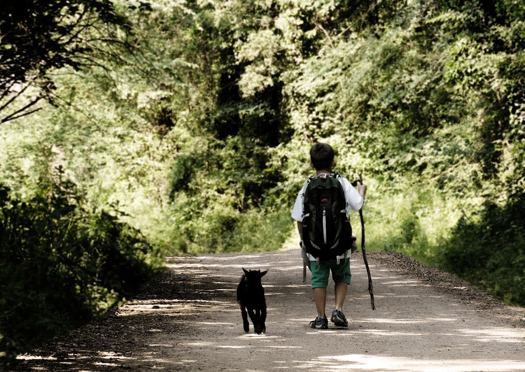 La Granja - Ability Training Center