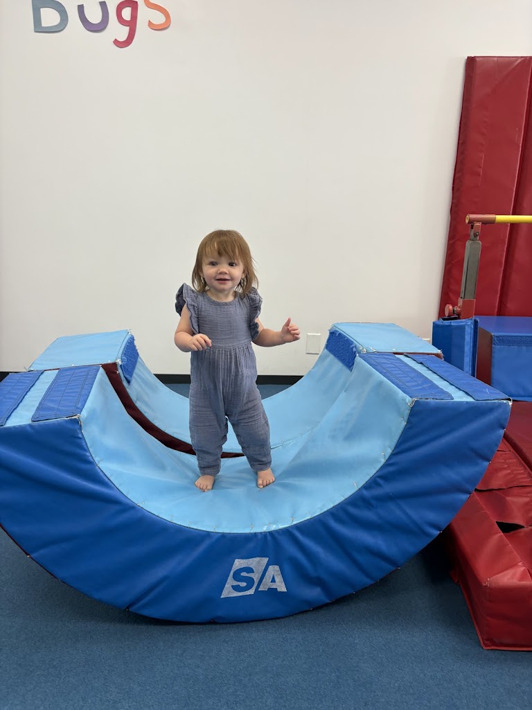  Busy Bugs Gymnastics