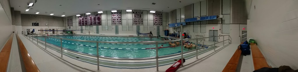 Swimming pool in Belmont