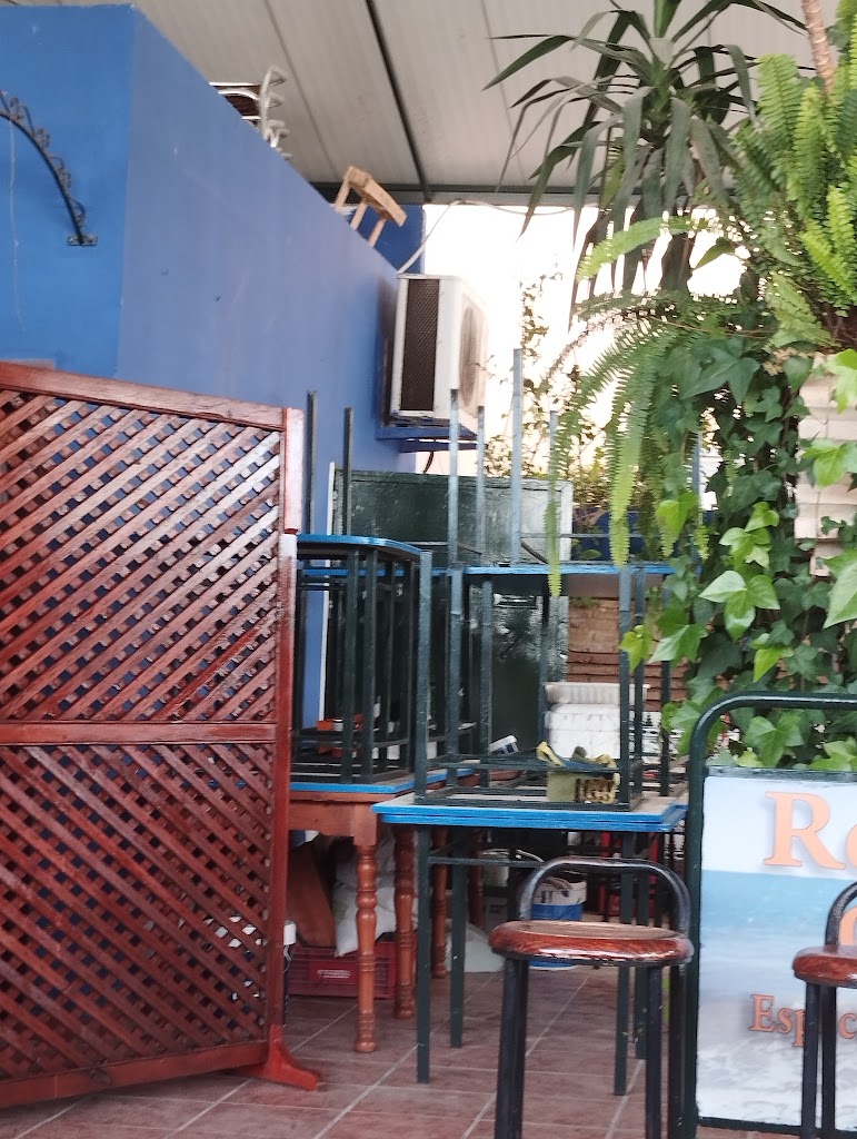 CASA JULIO RANDO — Ambiente