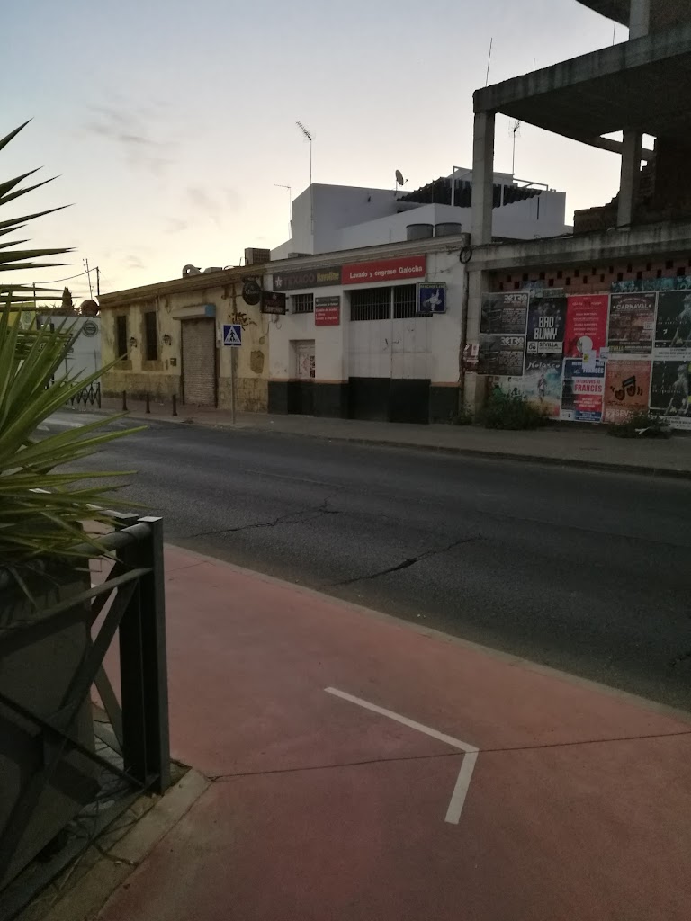 Lavado y engrase S.Reyes