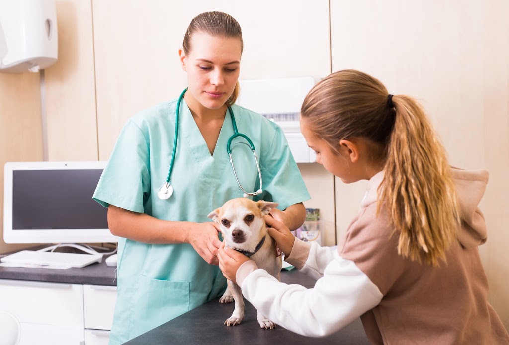 Clinica Veterinaria Mes Que Gossos — Del propietario