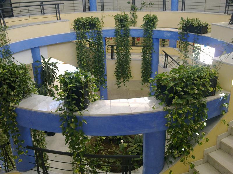 Centro Sevilla Bienestar