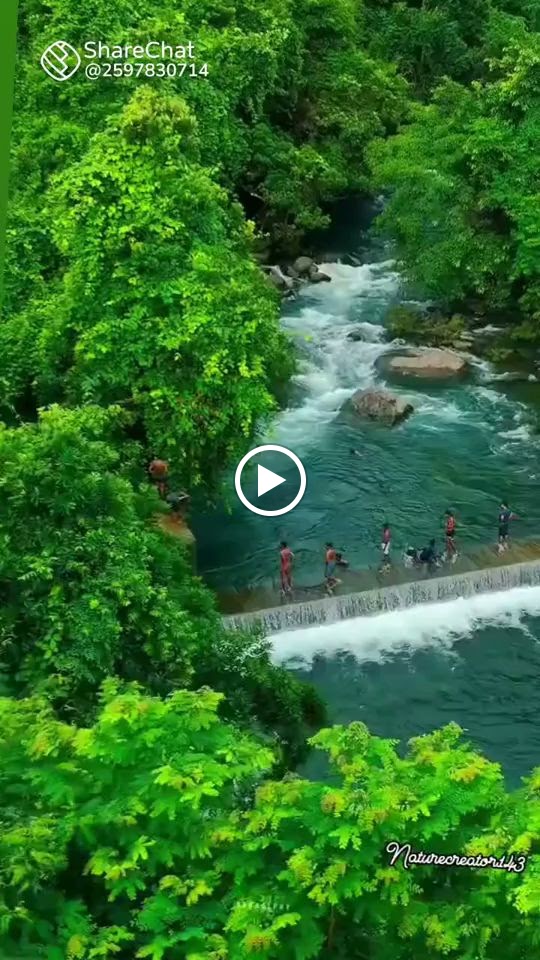 Videos