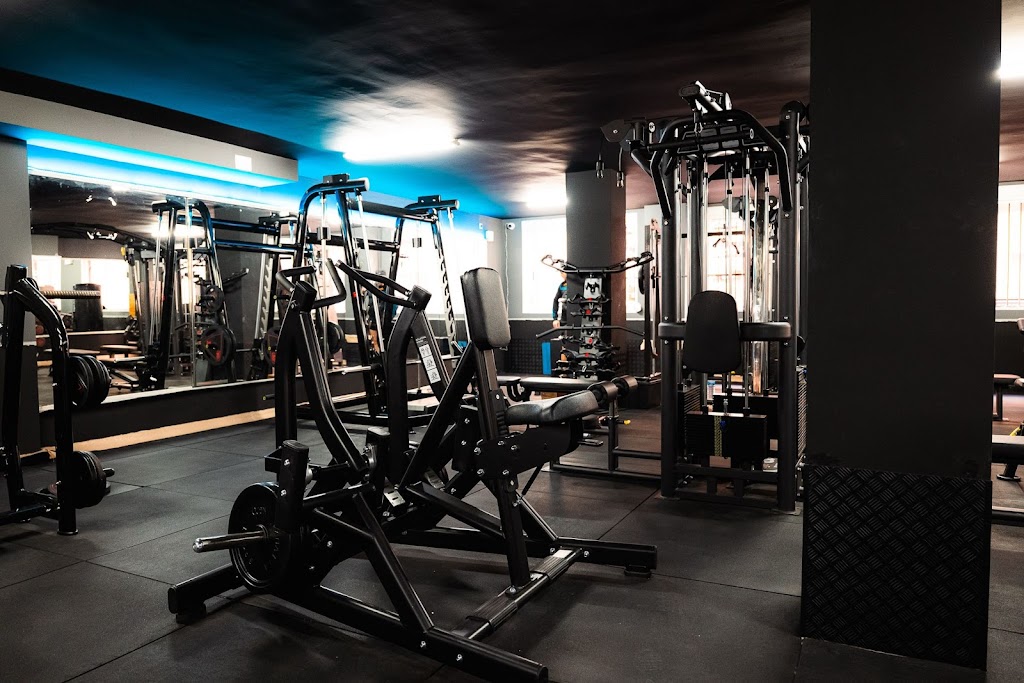 Wolf gym