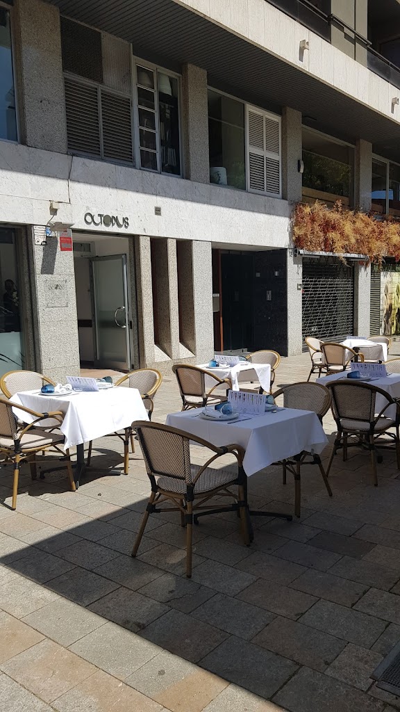 Octopus Pompeu Fabra