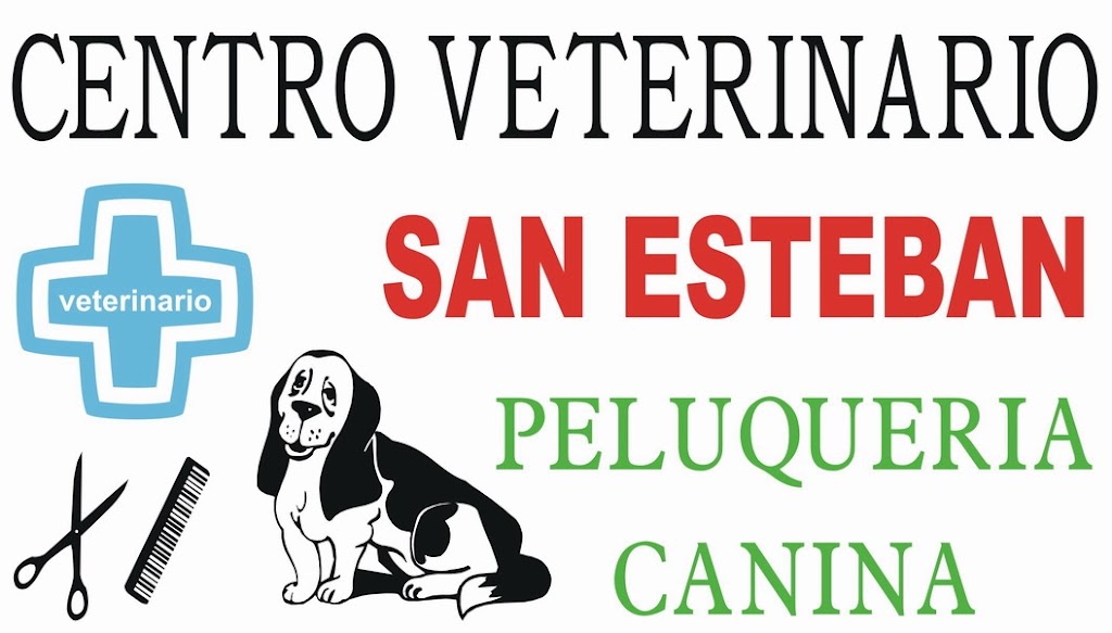 Centro Veterinario San Esteban — Del propietario