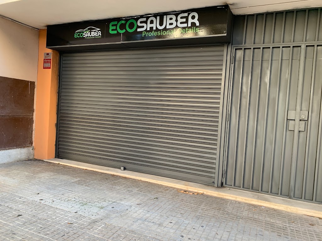 ECOSAUBER — Exterior