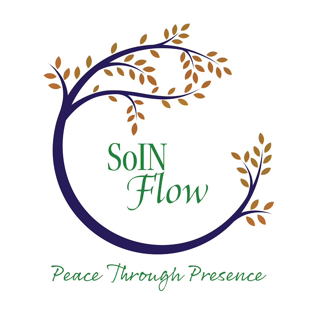  SoIN Flow LLC