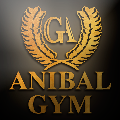 Gimnasio Anibal — Del propietario