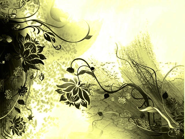 Mands Web Designs