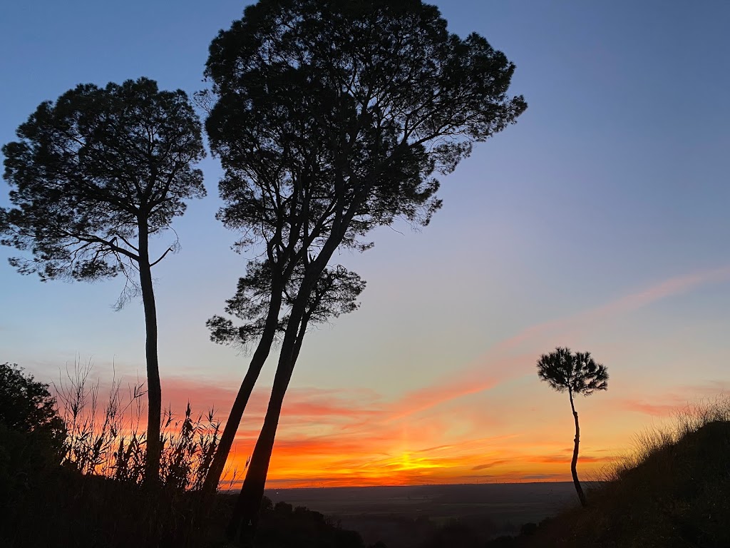 Cuesta de los Pinos