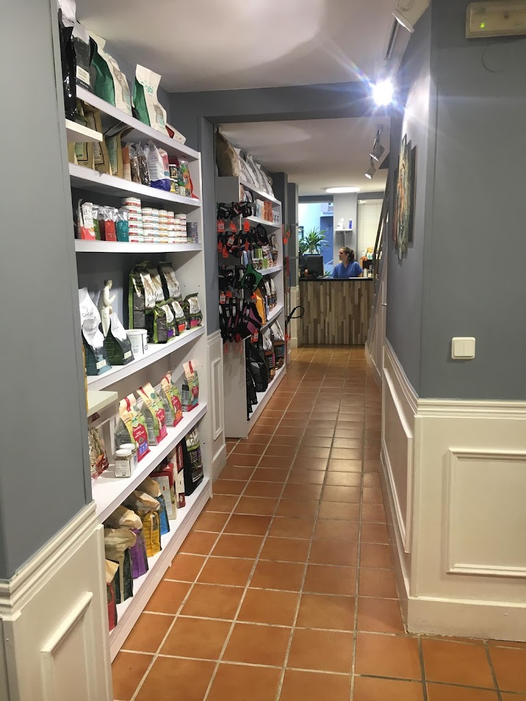 Clinica Veterinaria Jungle Vets