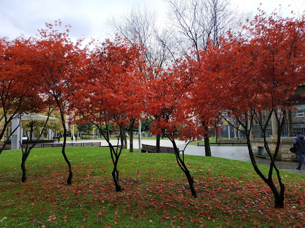 Zelaieta Parkea/Parque Zelaieta