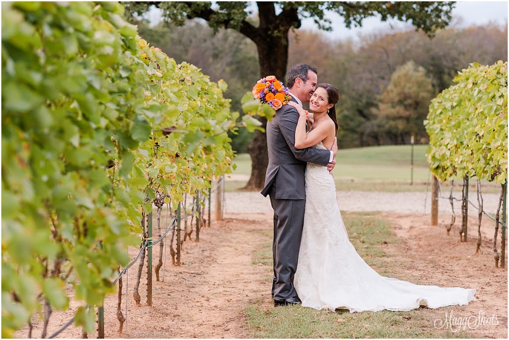Vineyard