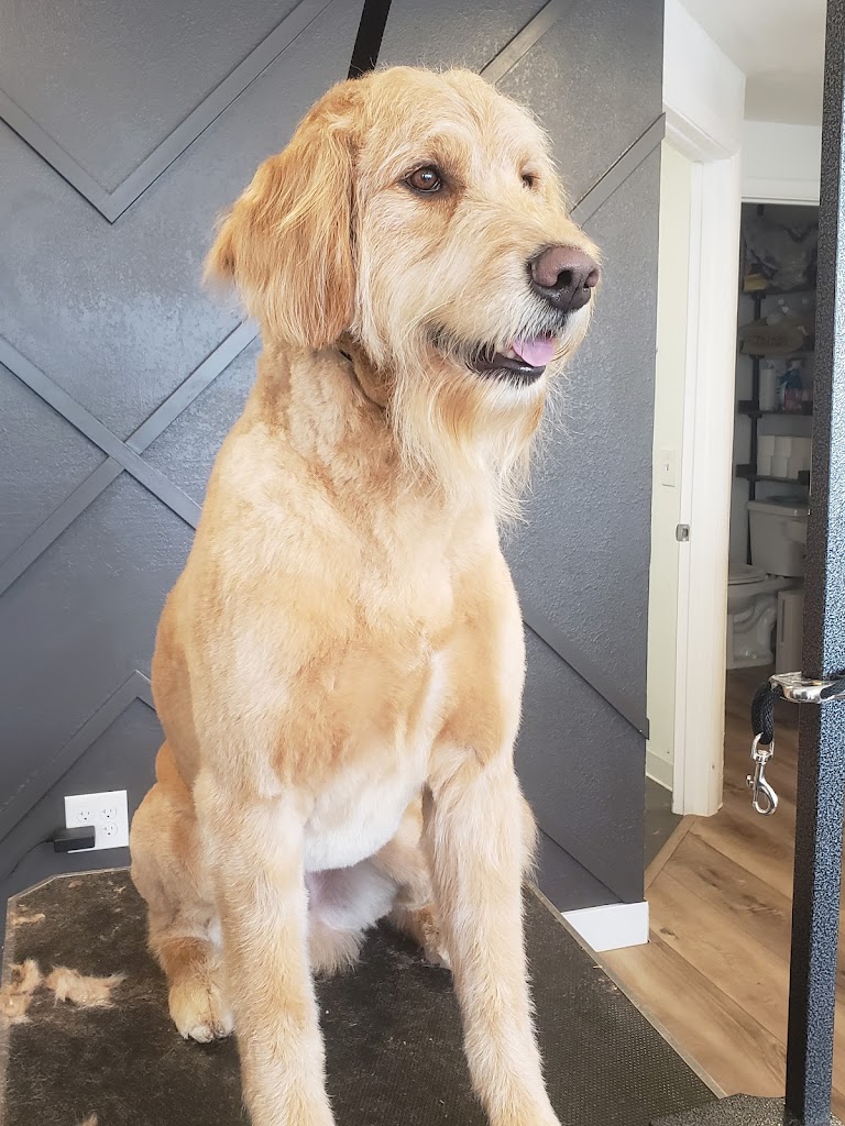 LolliPup Grooms Pet Salon in South Salt Lake