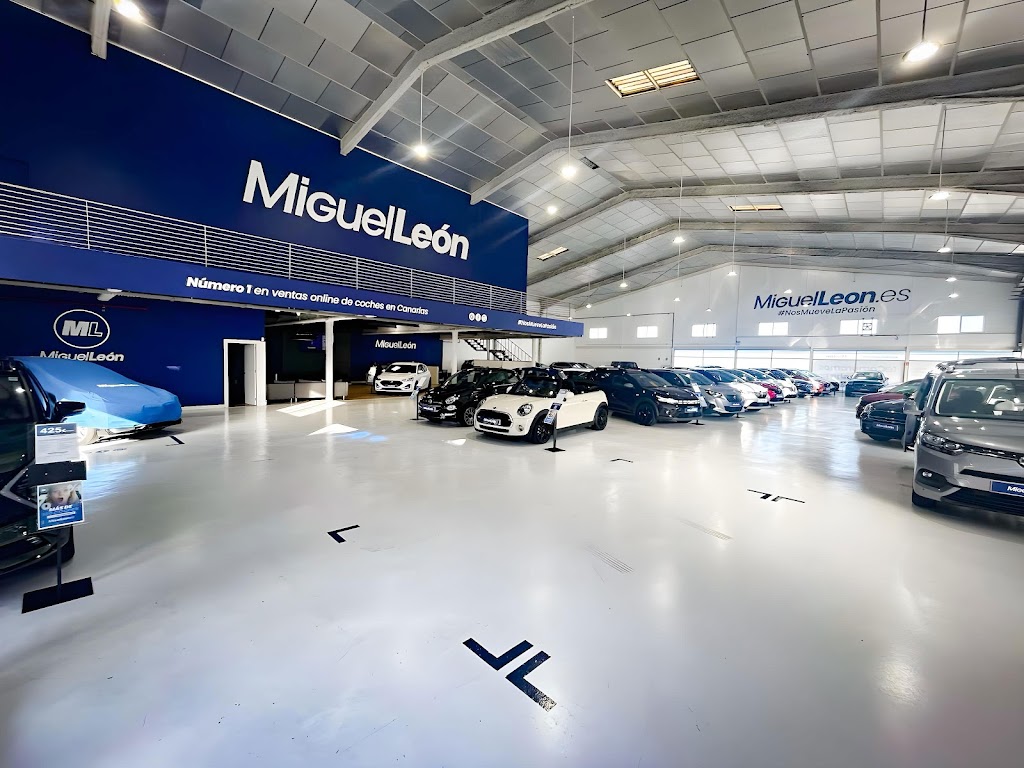 Miguel Leon Tenerife — Interior