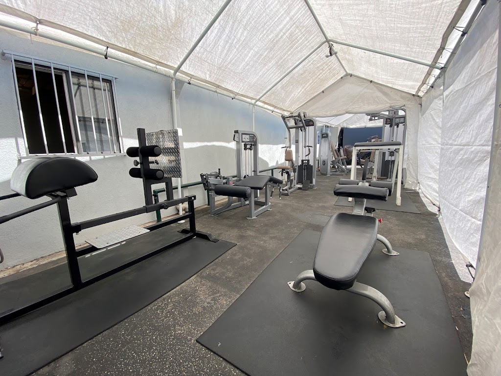  Sirens and Titans Fitness