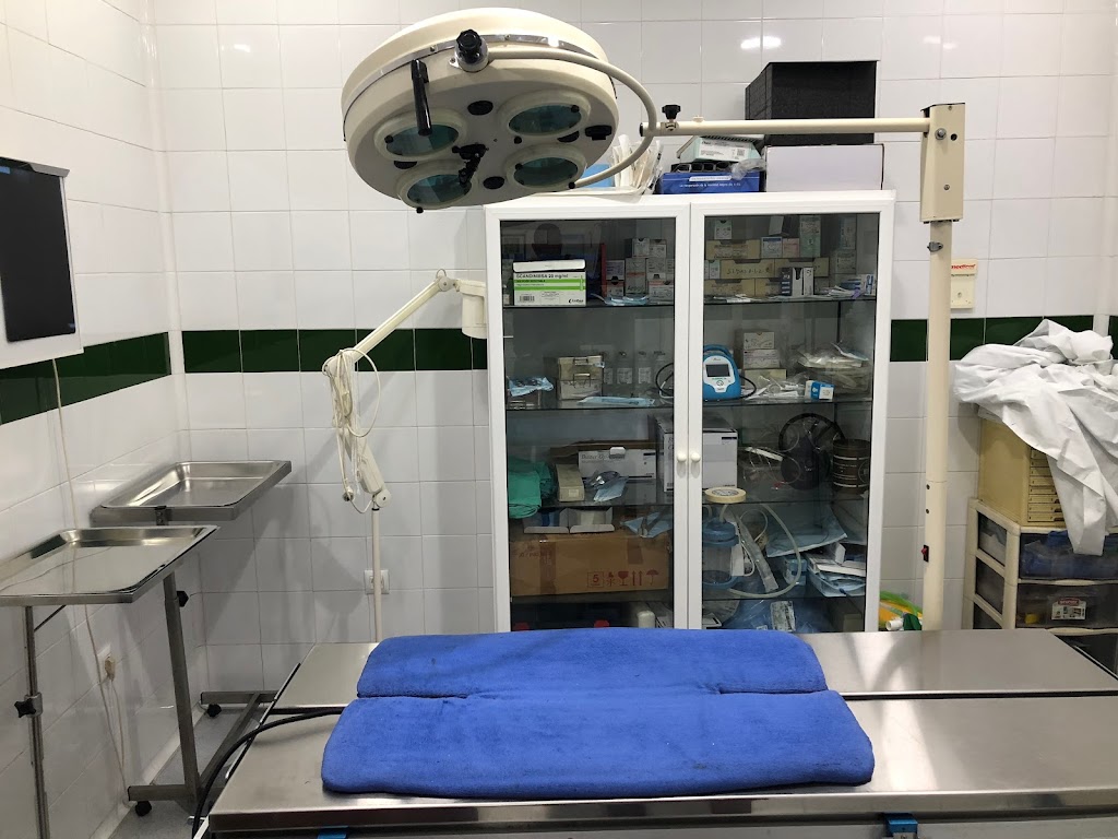 Clinica Veterinaria Zamfer — Del propietario
