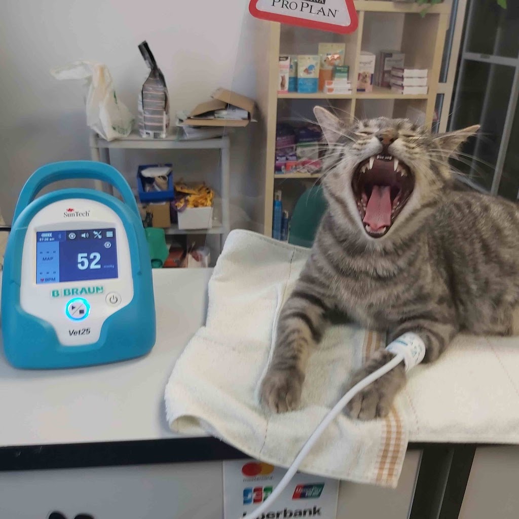 Clinica Veterinaria Manati — Del propietario
