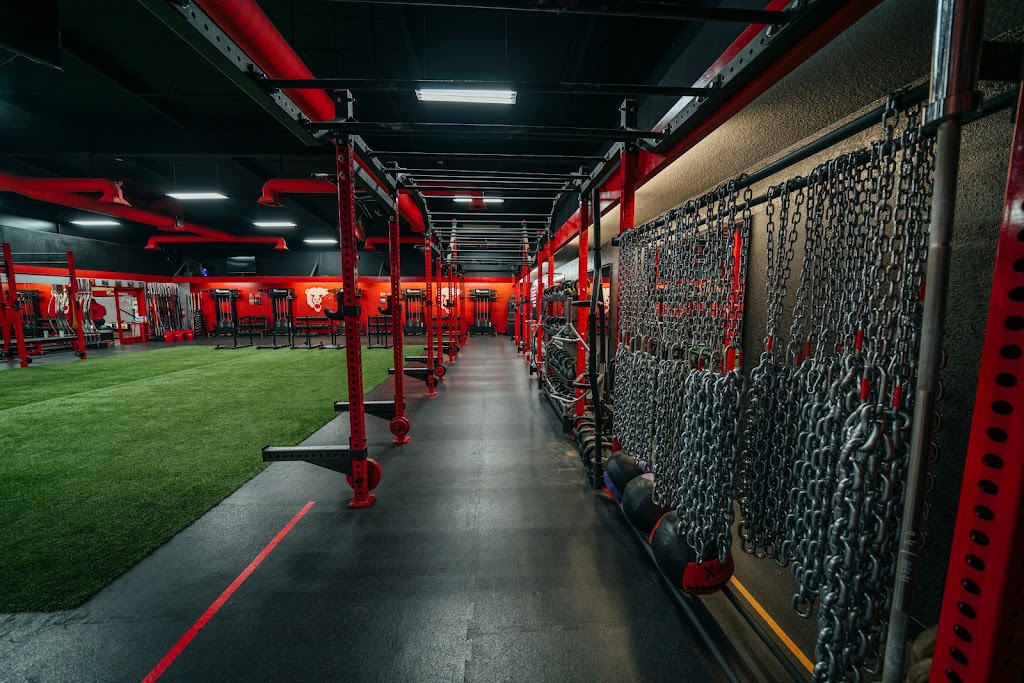  Beardown Strength and Conditioning