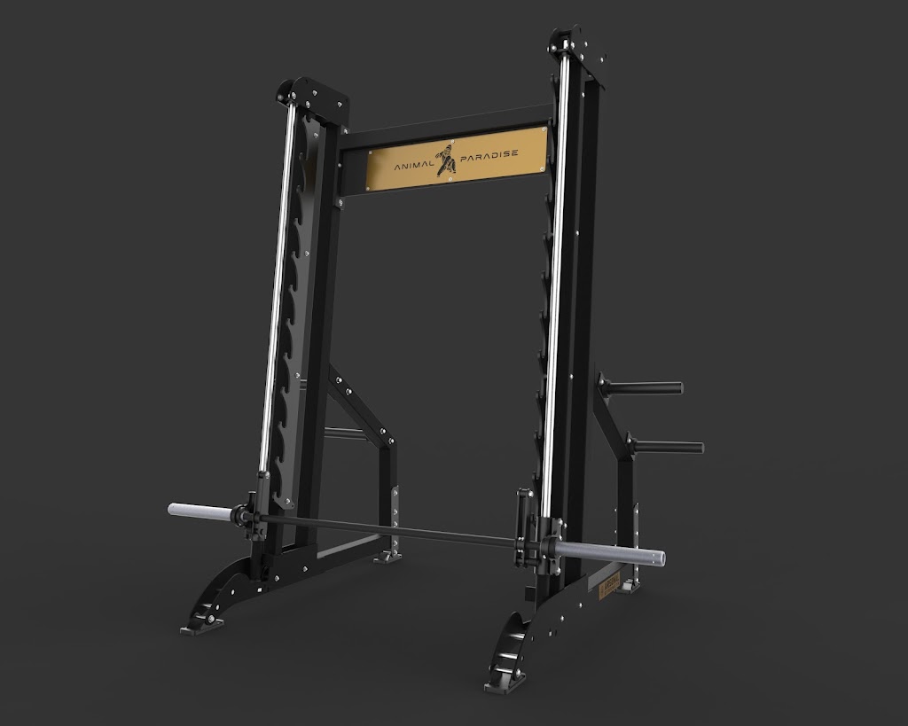  Animal Paradise Gyms | Modern Bodybuilding & Fitness Facility