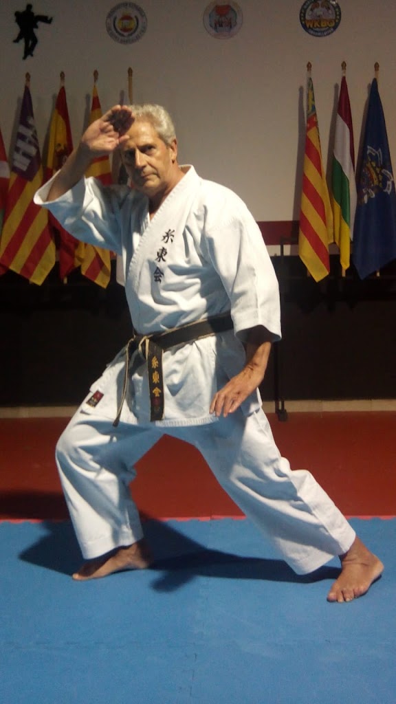 Kokujitsu-Ho Shito Ryu Karate — Entrenamiento
