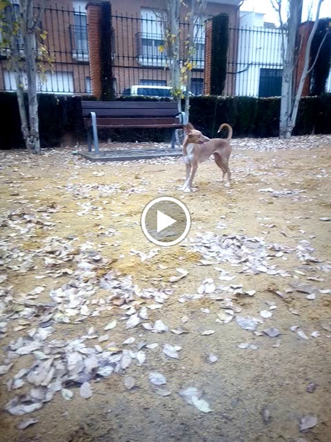 Parque calle corbatas